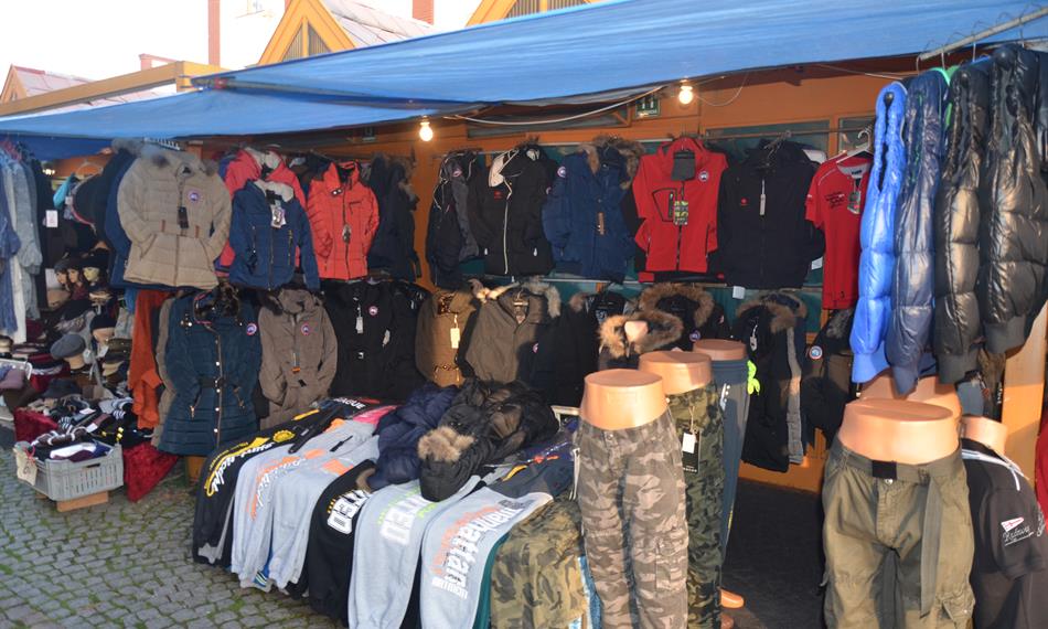 2014-11-20-137Canadian Goose 2.JPG